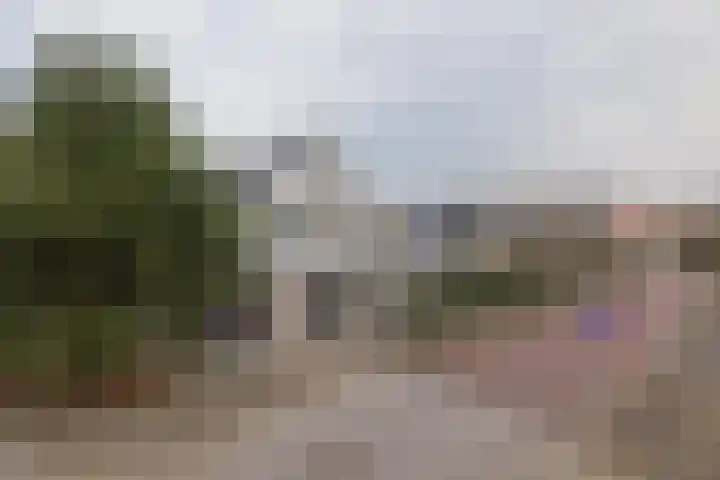 Duinwetering 22 Noordwijk thumbnail 36