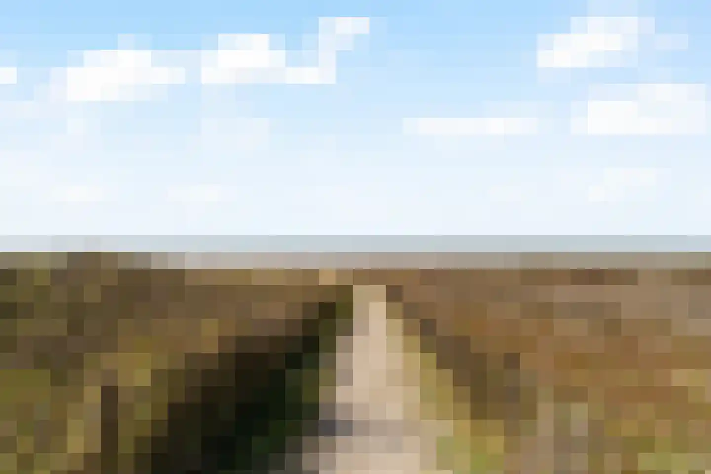 Duinwijck 7 Noordwijk thumbnail 43