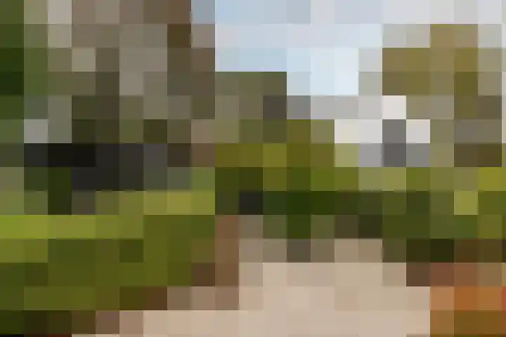 Duinwindelaan 1 Bentveld
