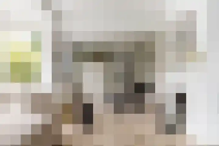 Duinwindelaan 1 Bentveld thumbnail 10