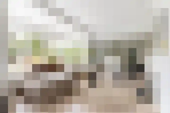 Duinwindelaan 1 Bentveld thumbnail 12