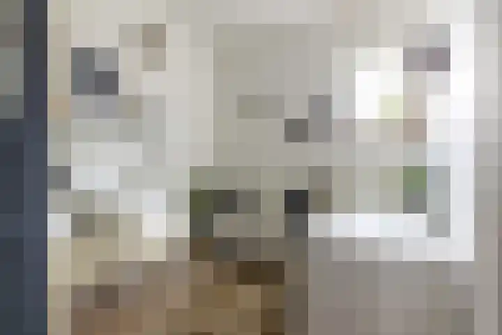 Duinwindelaan 1 Bentveld thumbnail 16