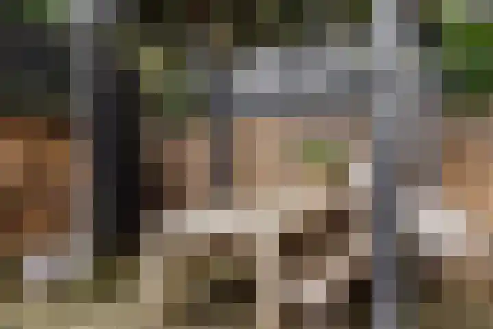 Duinwindelaan 1 Bentveld thumbnail 28