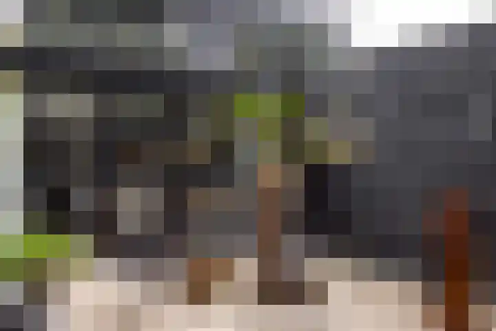 Duinwindelaan 1 Bentveld thumbnail 29