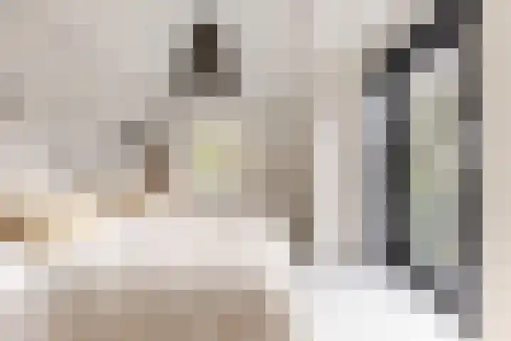 Duinwindelaan 1 Bentveld thumbnail 31