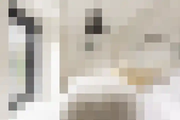 Duinwindelaan 1 Bentveld thumbnail 33