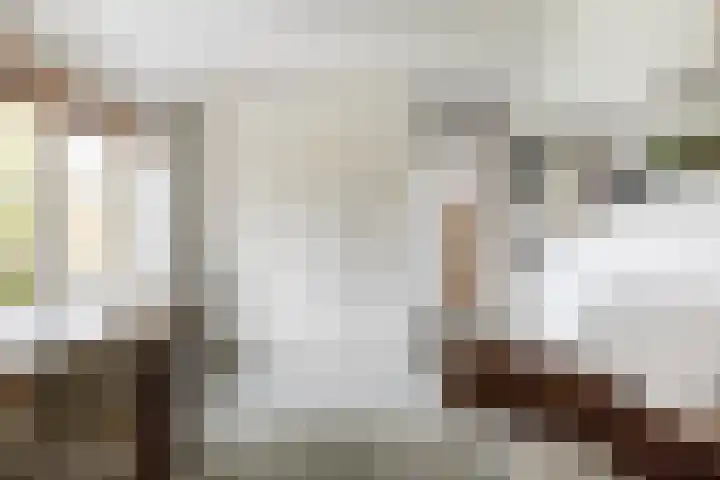 Duinwindelaan 1 Bentveld thumbnail 42