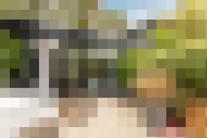 Duinwindelaan 1 Bentveld thumbnail 48