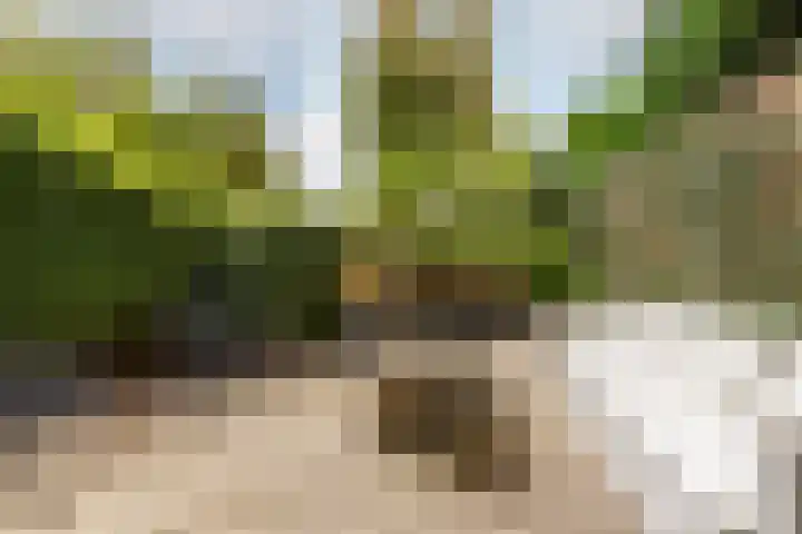 Duinwindelaan 1 Bentveld thumbnail 49