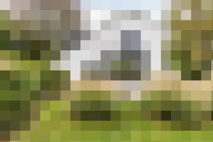 Duinwindelaan 1 Bentveld thumbnail 55