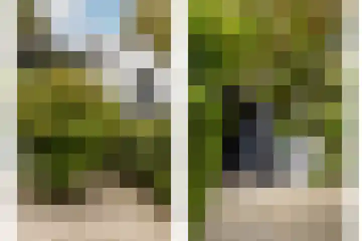 Duinwindelaan 1 Bentveld thumbnail 6
