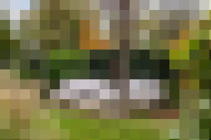 Duinwindelaan 1 Bentveld thumbnail 66