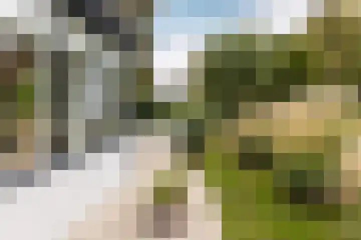 Duinwindelaan 1 Bentveld thumbnail 67