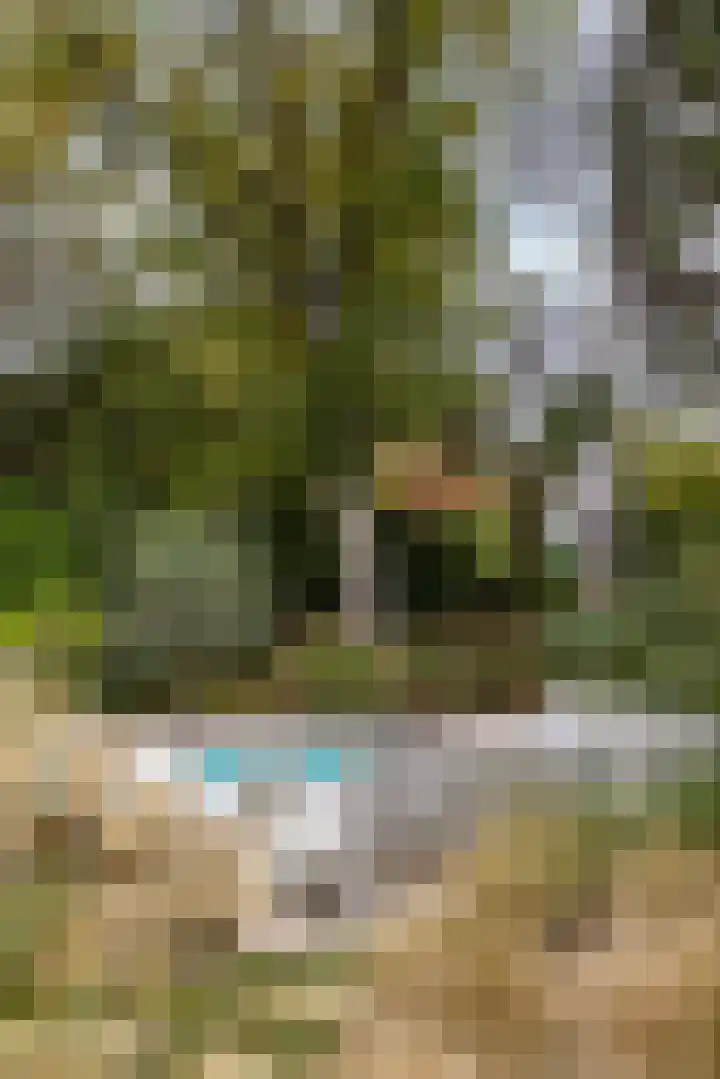 Duinwindelaan 1 Bentveld thumbnail 68