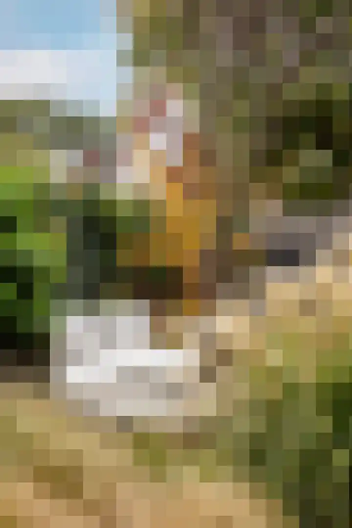 Duinwindelaan 1 Bentveld thumbnail 70