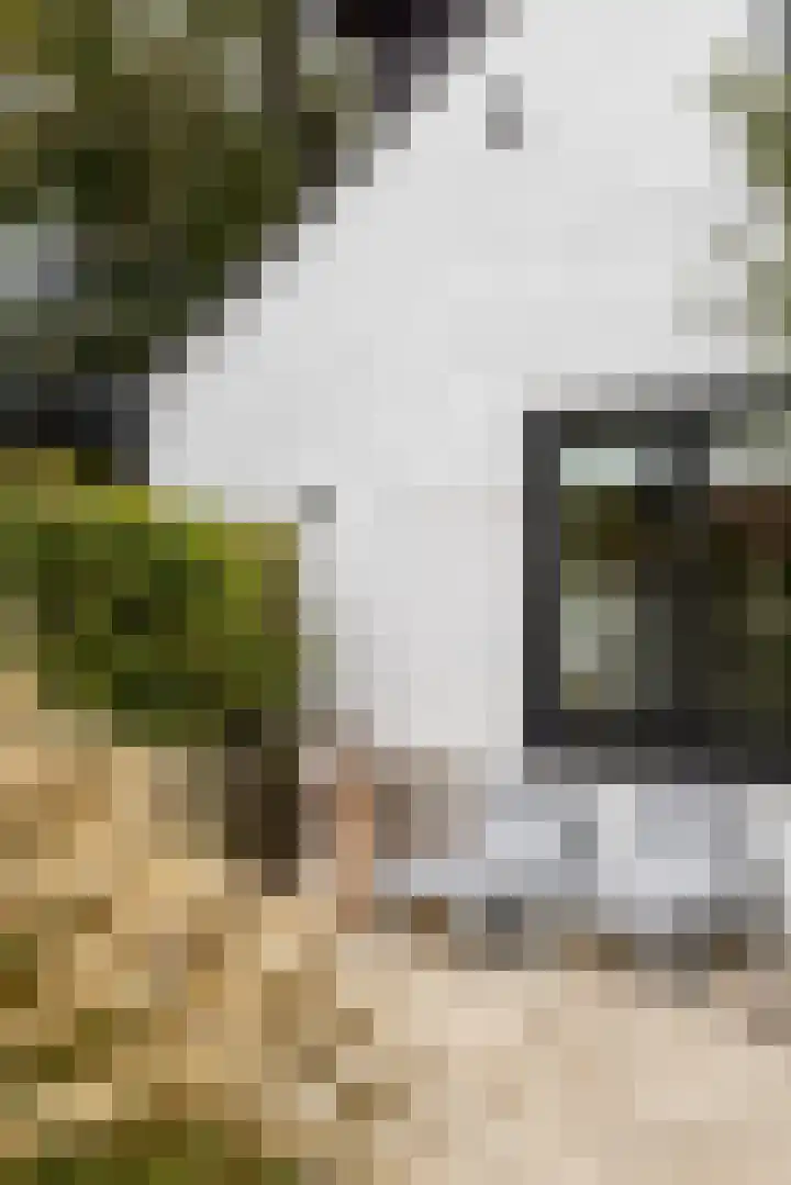 Duinwindelaan 1 Bentveld thumbnail 71