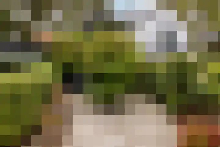 Duinwindelaan 1 Bentveld thumbnail 73