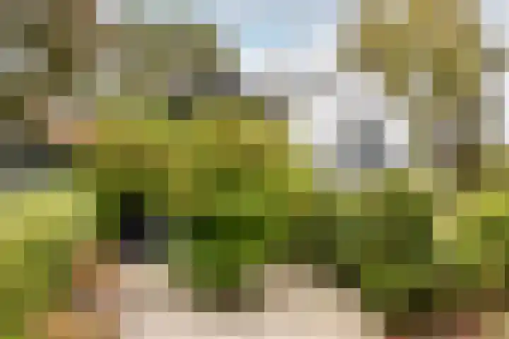 Duinwindelaan 1 Bentveld thumbnail 74