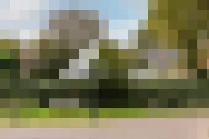 Duinwindelaan 1 Bentveld thumbnail 75