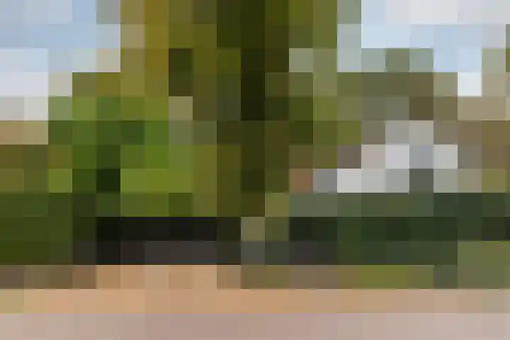 Duinwindelaan 1 Bentveld thumbnail 77
