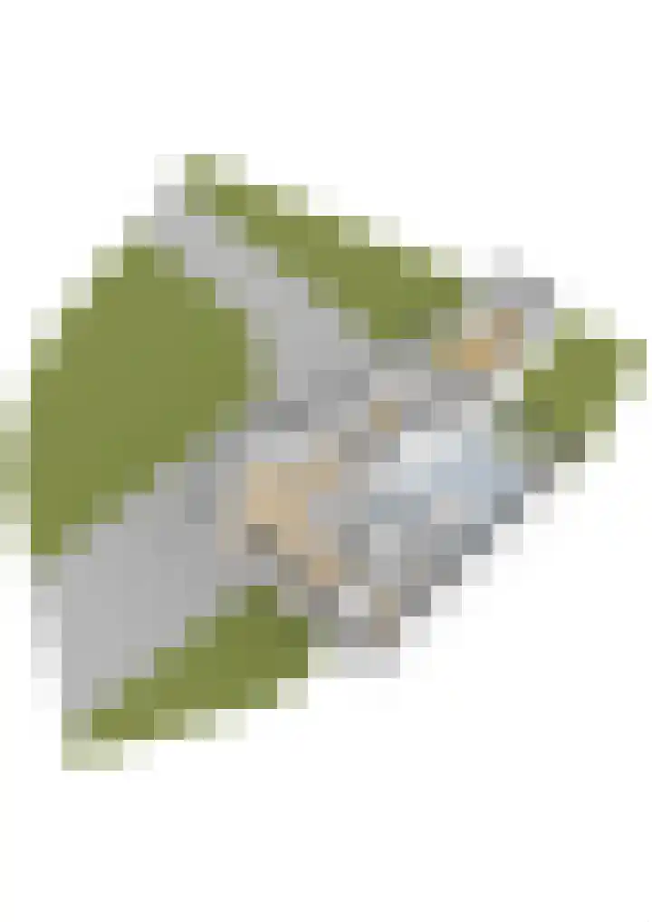 Duinwindelaan 1 Bentveld thumbnail 83