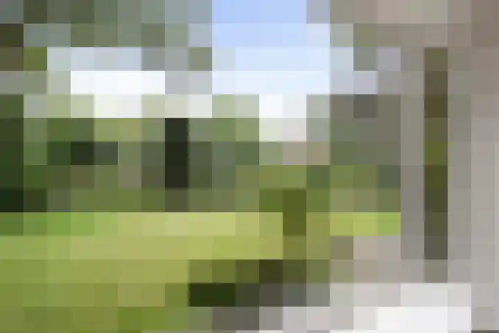 Duinwindelaan 3 Bentveld thumbnail 11