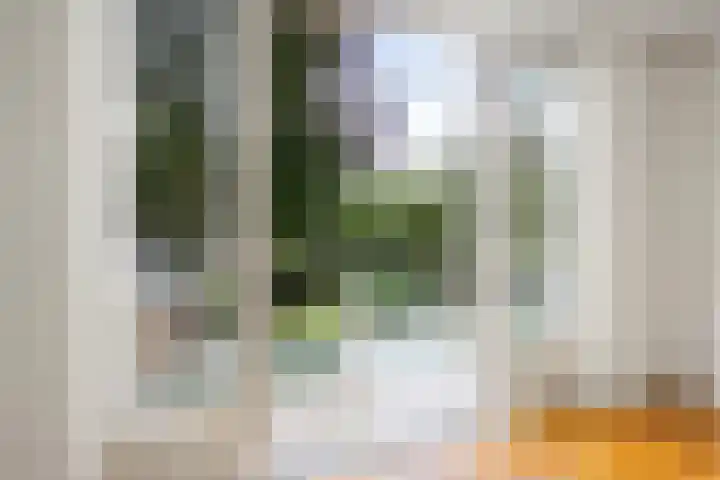 Duinwindelaan 3 Bentveld thumbnail 44