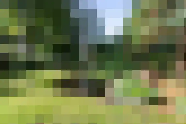 Duinwindelaan 3 Bentveld thumbnail 47