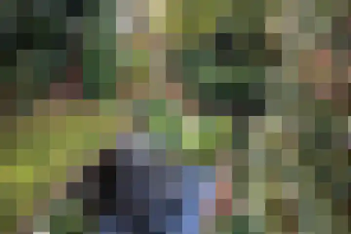 Duinwindelaan 3 Bentveld thumbnail 48