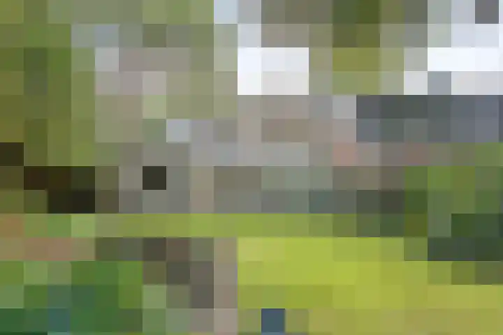 Duinwindelaan 3 Bentveld thumbnail 50