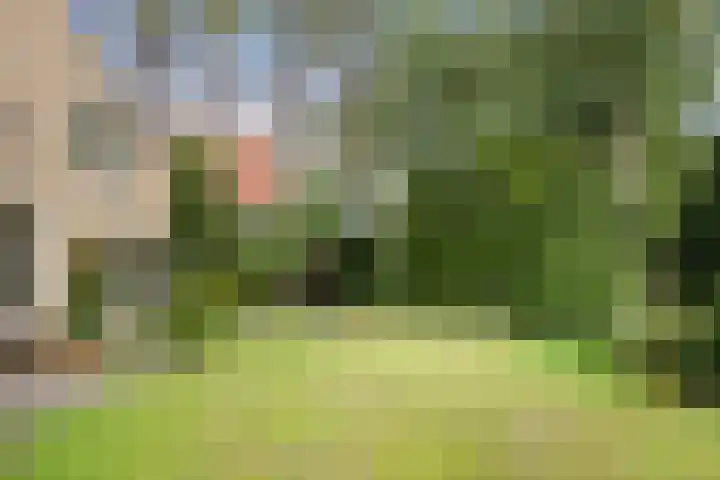 Duinwindelaan 3 Bentveld thumbnail 54