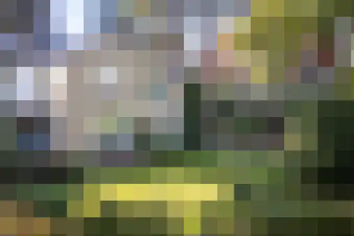 Duinwindelaan 3 Bentveld thumbnail 58