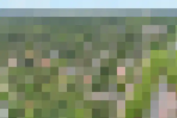 Duinwindelaan 3 Bentveld thumbnail 62