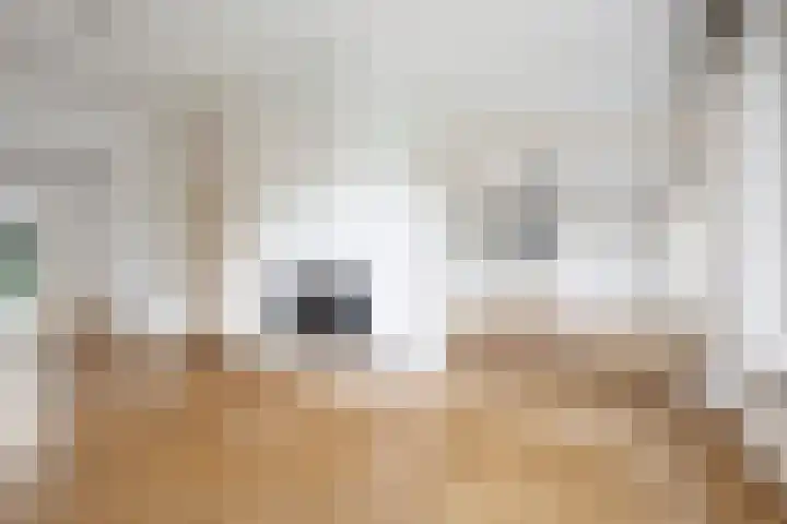 Duinwindelaan 3 Bentveld thumbnail 7