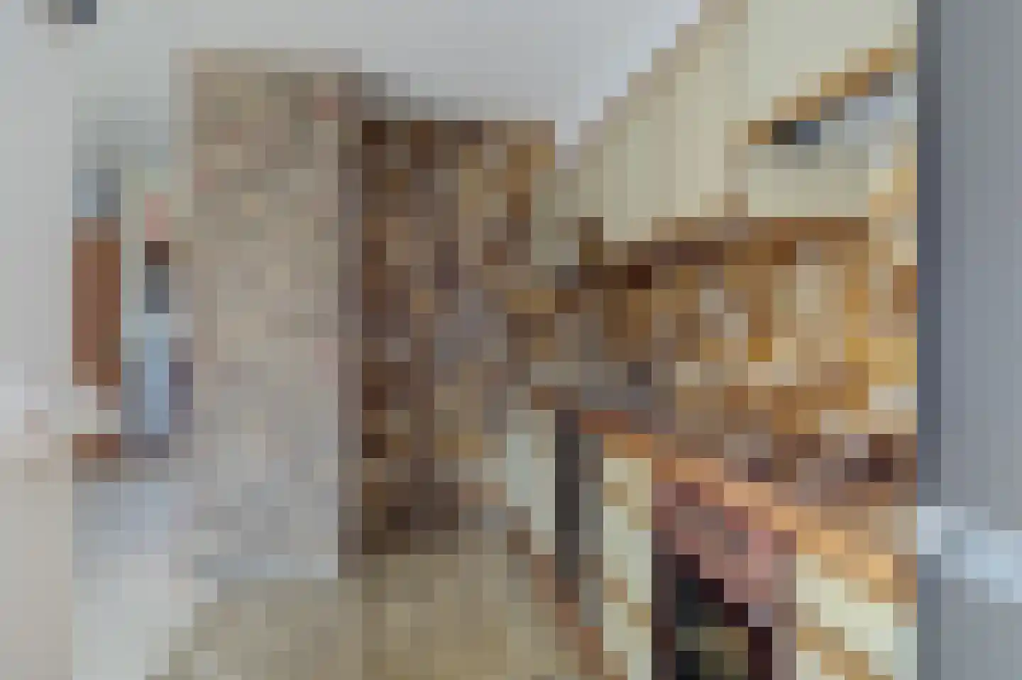 Duinzicht 14 Valkenburg thumbnail 20