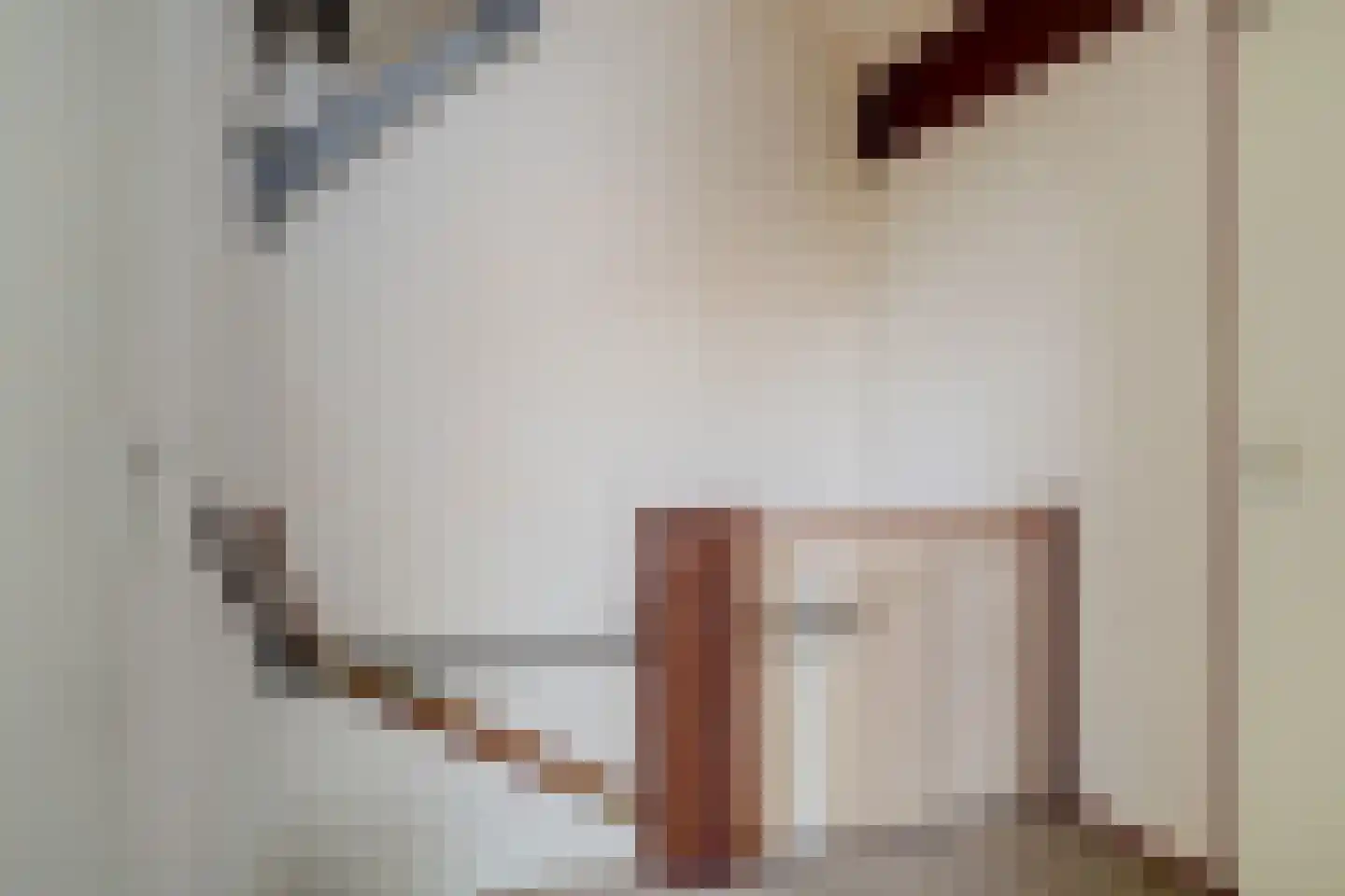 Duinzicht 14 Valkenburg thumbnail 44