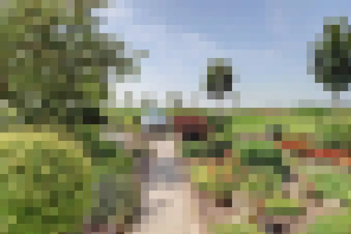 Duinzicht 14 Valkenburg thumbnail 8