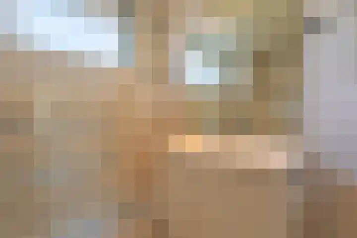 Duinzicht 6 Valkenburg thumbnail 18