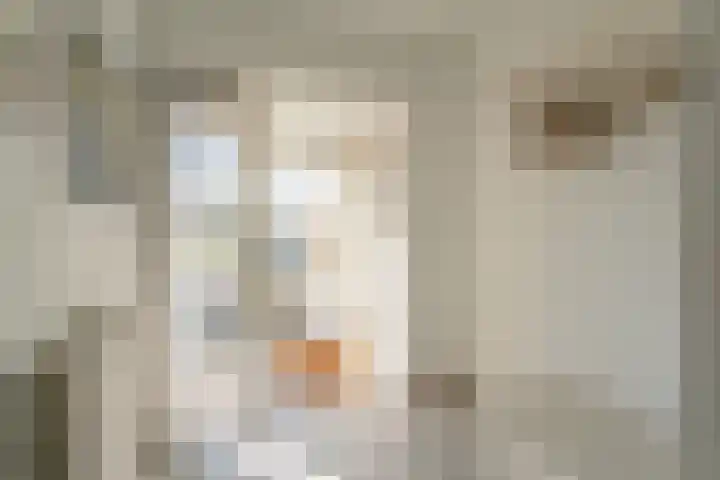 Duinzicht 6 Valkenburg thumbnail 24