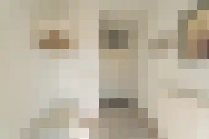 Duinzicht 6 Valkenburg thumbnail 25