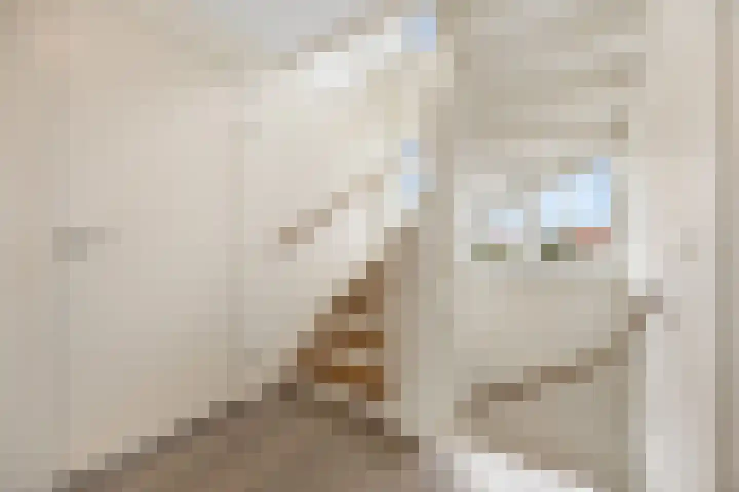 Duinzicht 7 Cadzand thumbnail 20