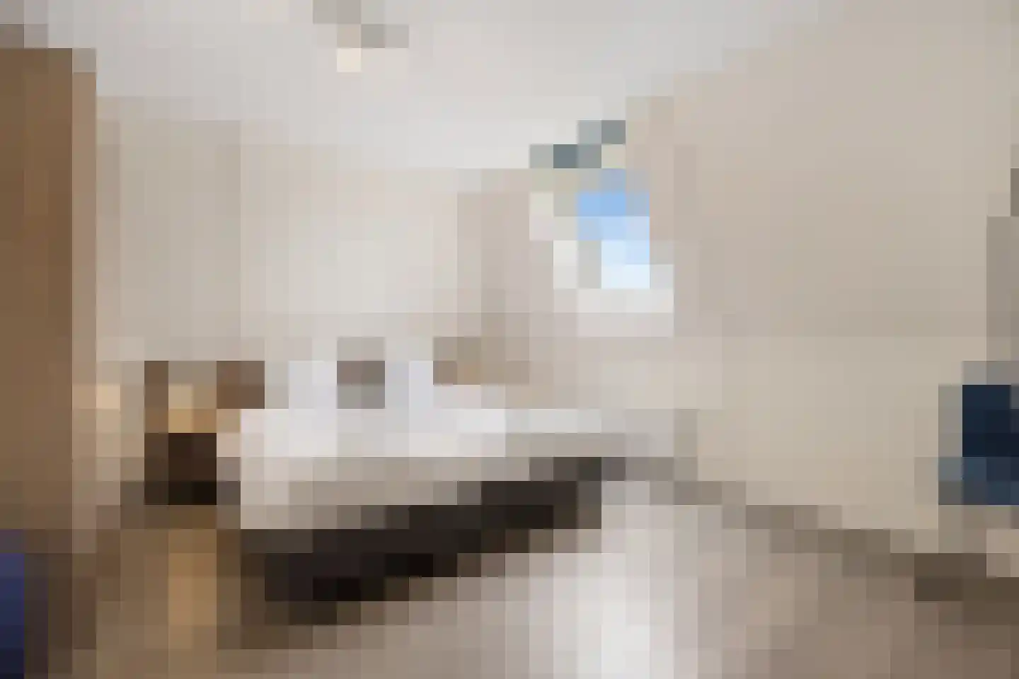 Duinzicht 7 Cadzand thumbnail 30