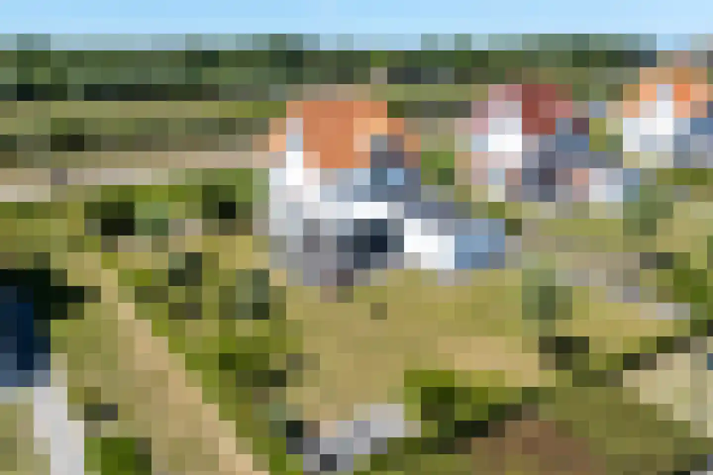 Duinzicht 7 Cadzand thumbnail 39