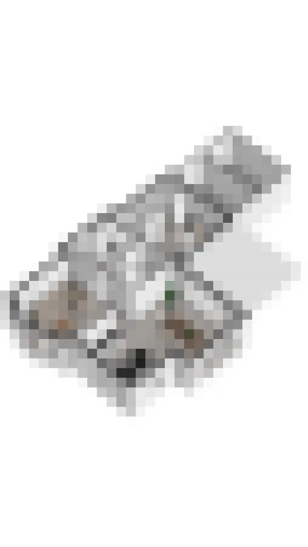 Duinzicht 7 Cadzand thumbnail 48