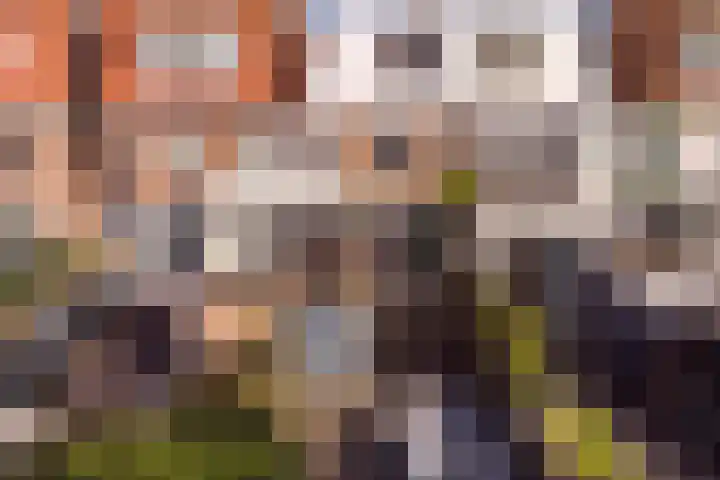 Duinzichtstraat 12 Oegstgeest thumbnail 7