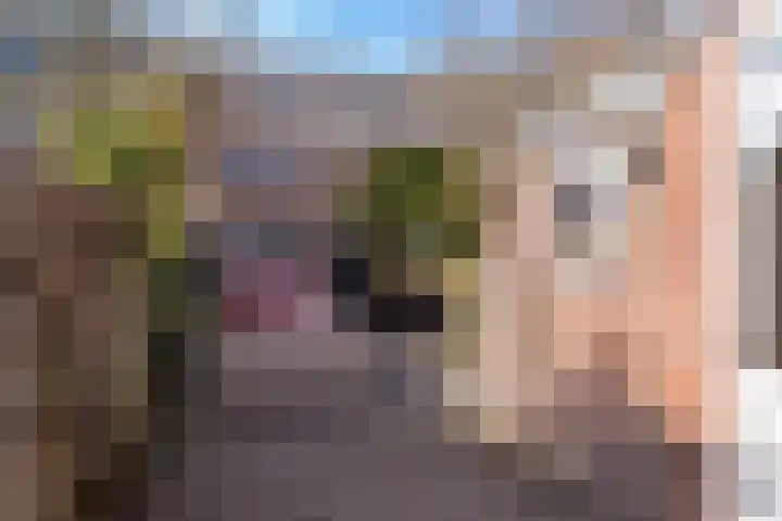 Duinzichtstraat 12 Oegstgeest thumbnail 8