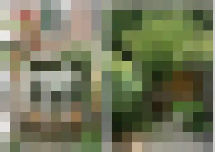 Duinzichtstraat 12 Oegstgeest thumbnail 9