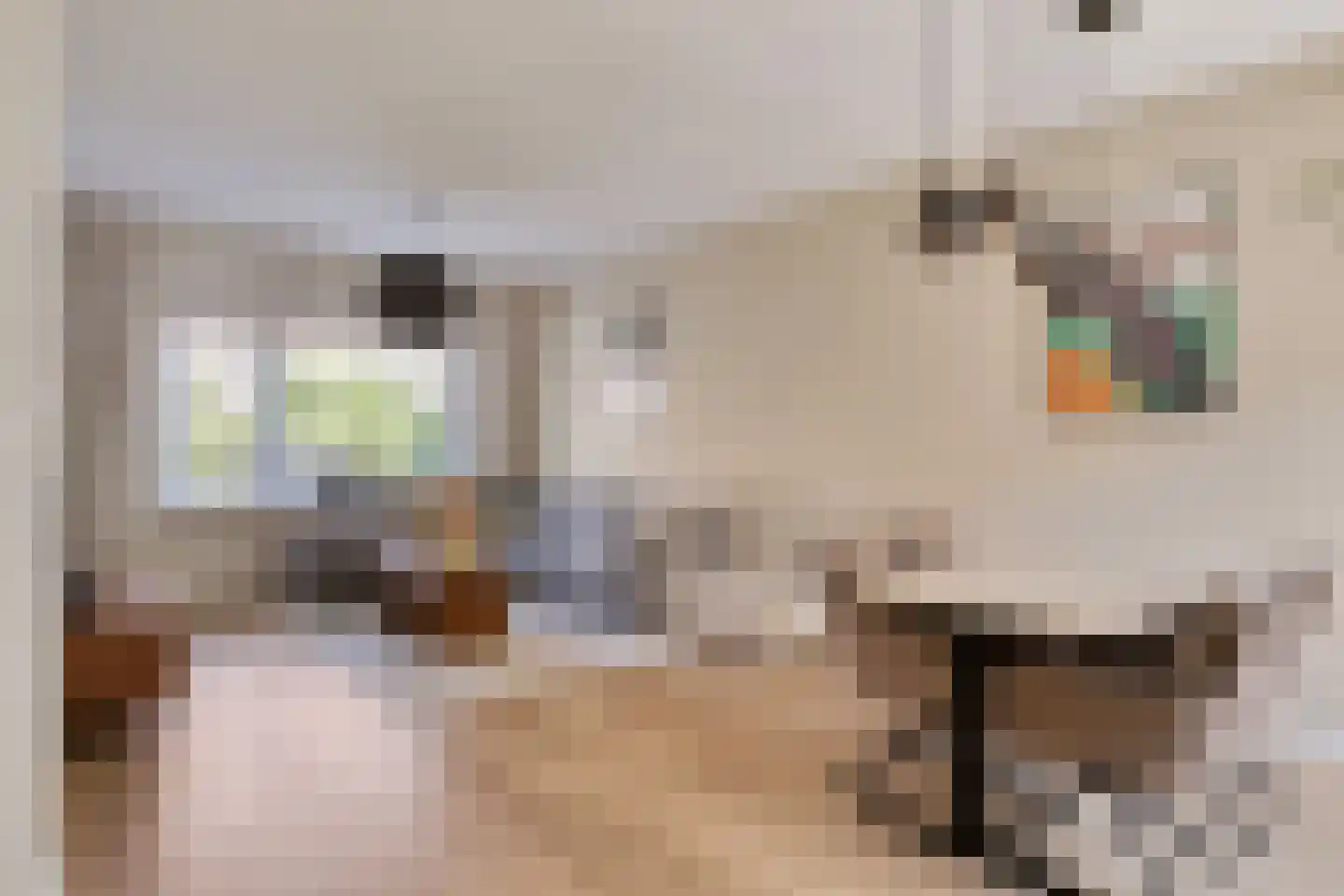 Duinzichtstraat 24 Oegstgeest thumbnail 10