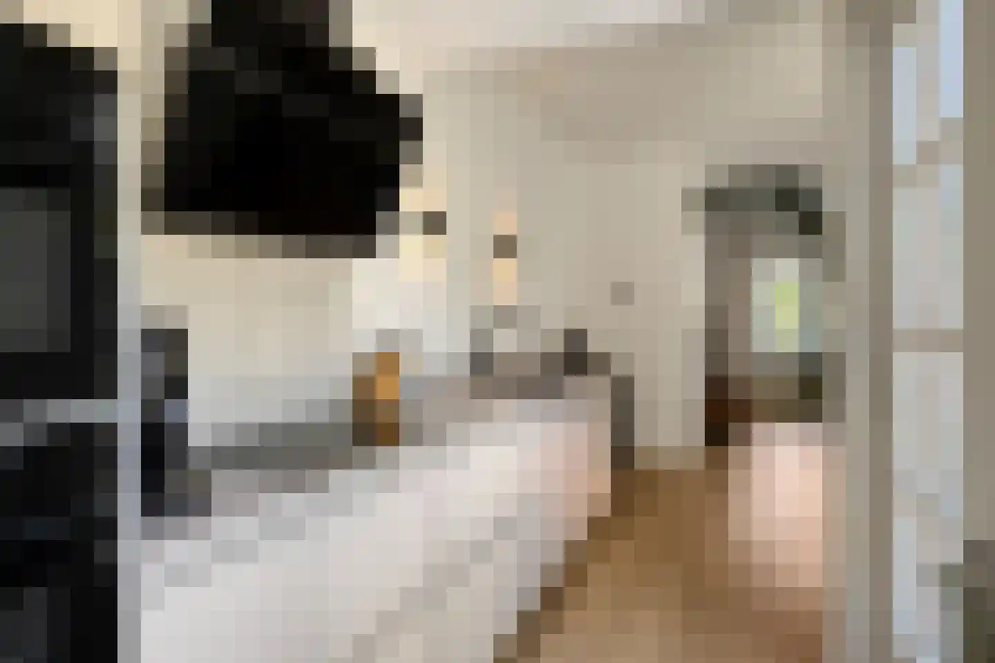 Duinzichtstraat 24 Oegstgeest thumbnail 14