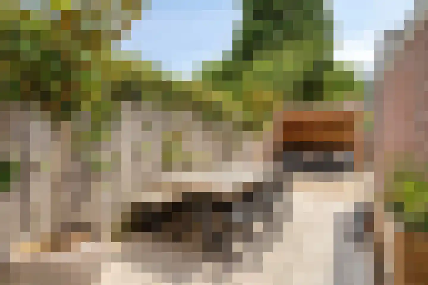 Duinzichtstraat 24 Oegstgeest thumbnail 17